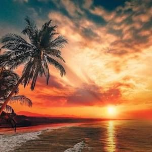 Meet your Posher, Elisa